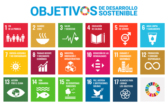 Sustainable Development Goals Banner